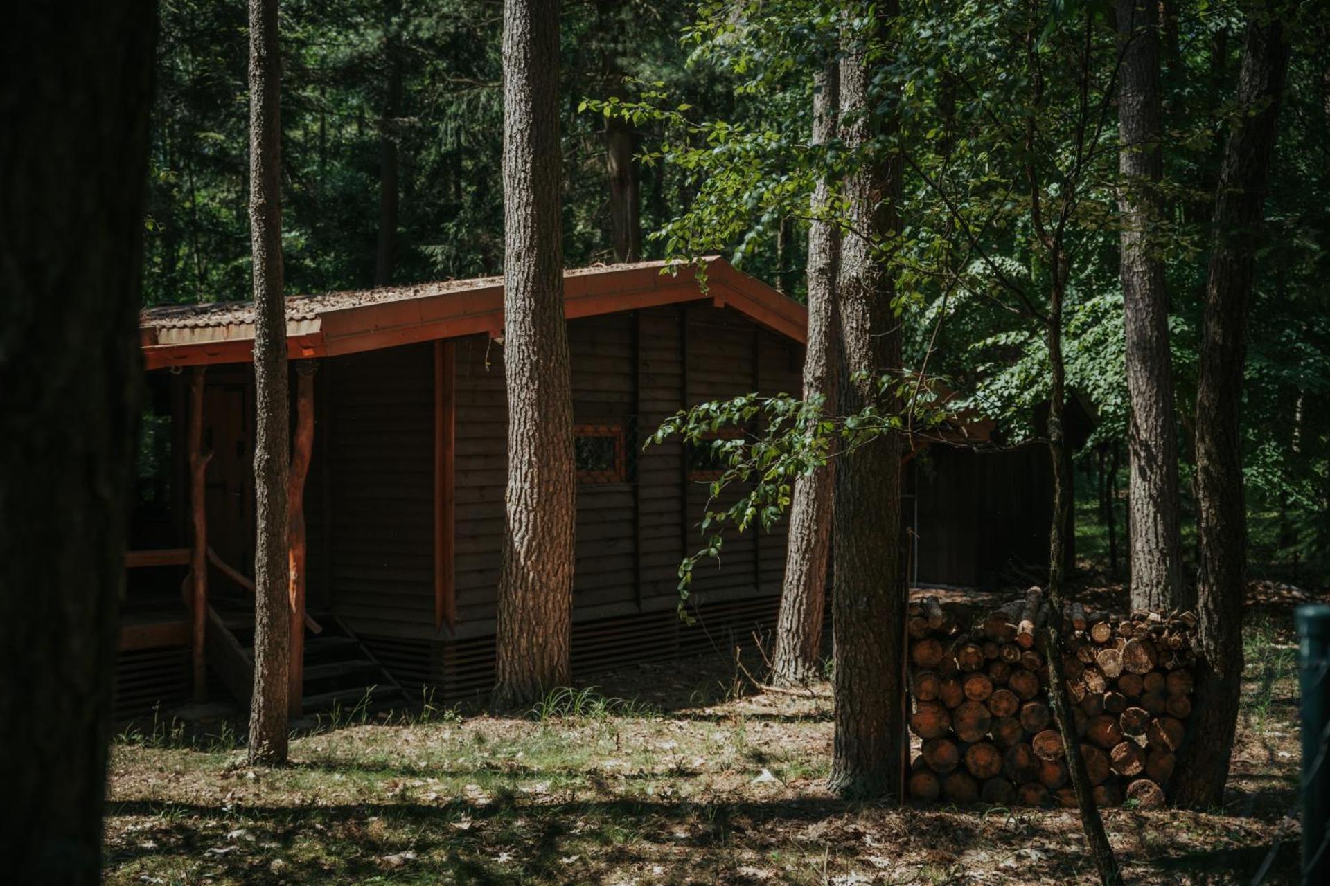 Forest Cabin - 50Min Od Warszawy Wola Polska Esterno foto
