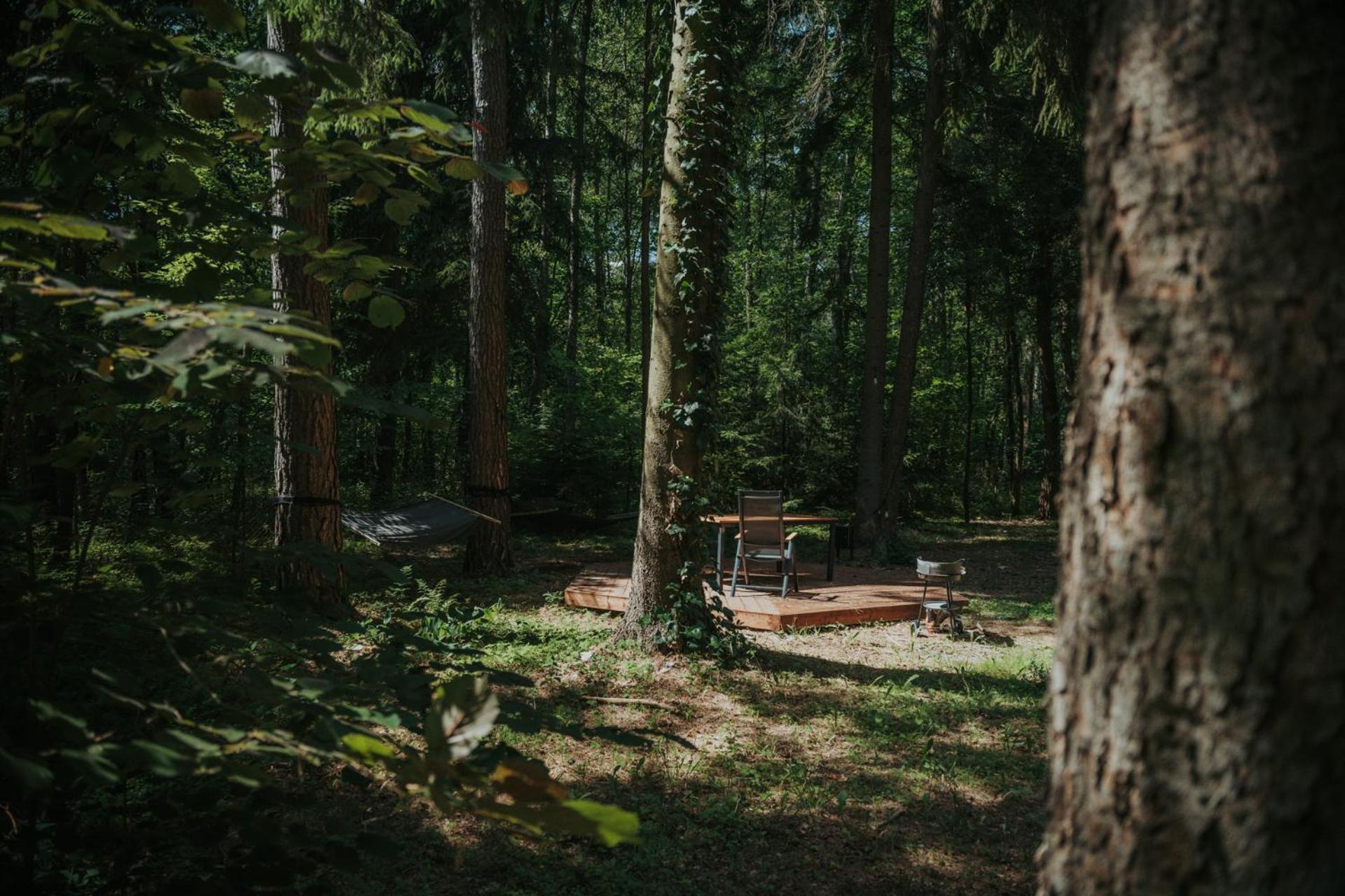 Forest Cabin - 50Min Od Warszawy Wola Polska Esterno foto