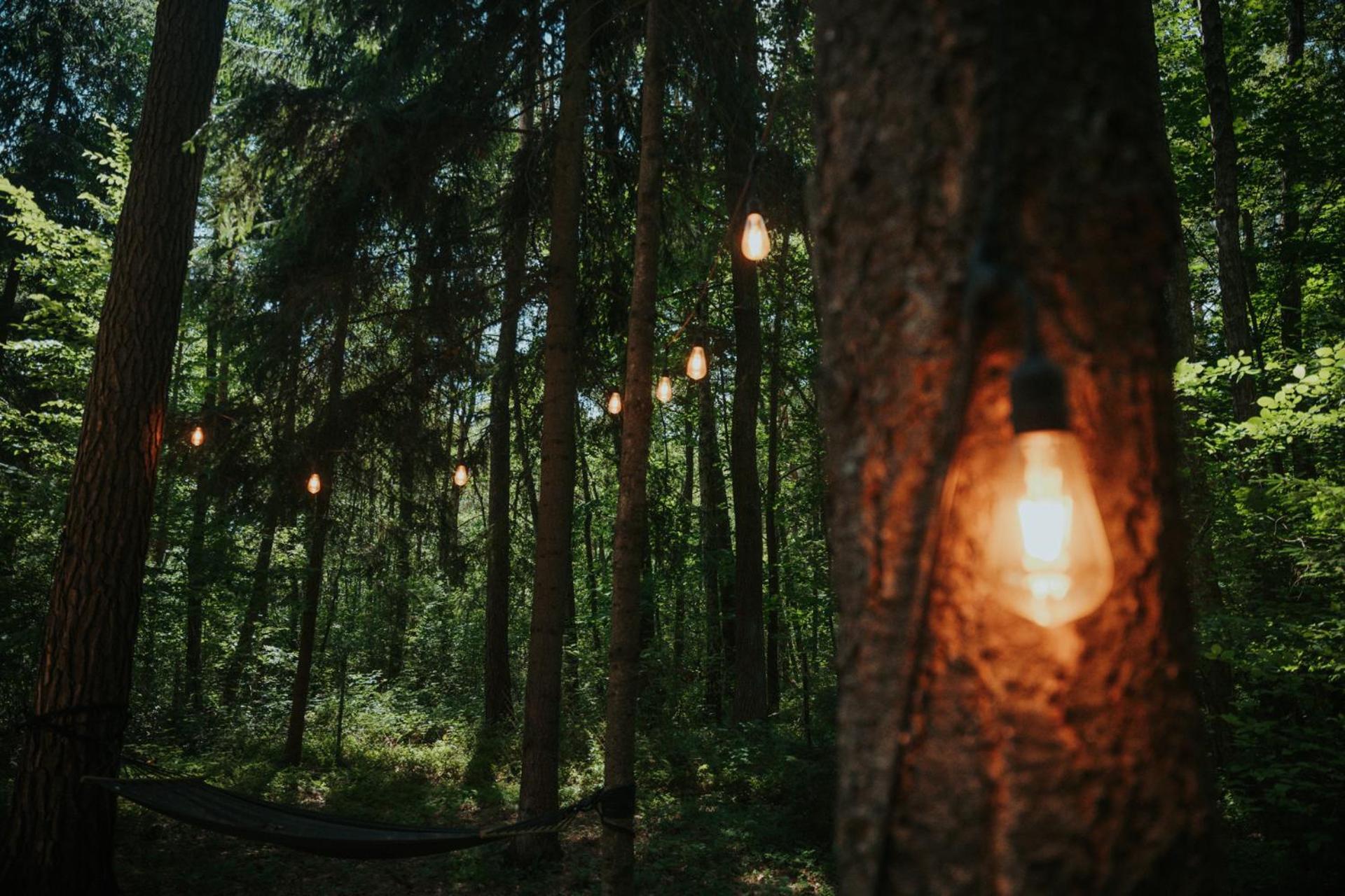 Forest Cabin - 50Min Od Warszawy Wola Polska Esterno foto